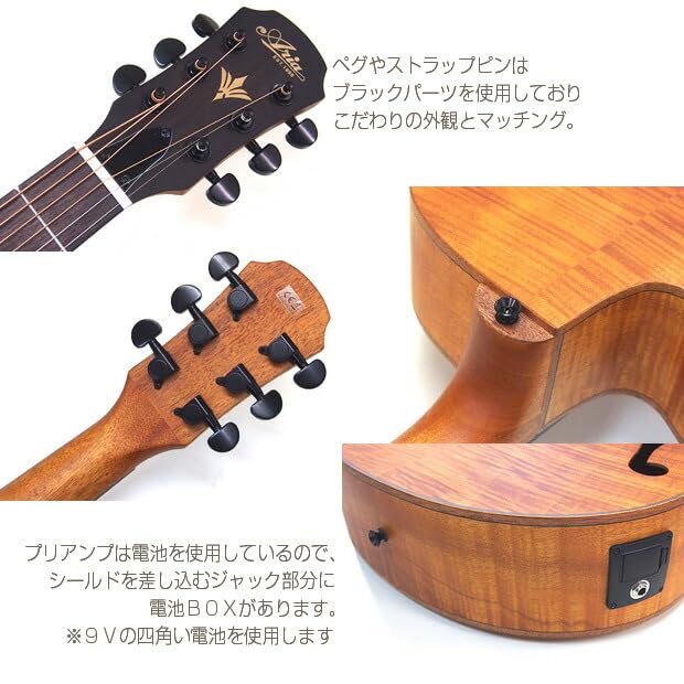 ARIA アリア FET-F2 STBR エレアコ FET-F2 STBR | Elecord | Products | ARIA 荒井貿易株式会社
