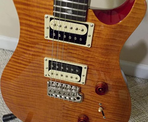 Amazon | Paul Reed Smith （ ポールリードスミス ） SE CUSTOM 24