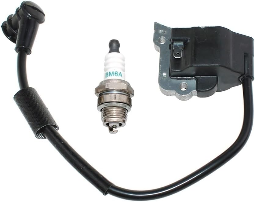 Ignition Coil Fit For AH230 AH231 AHS231 LE230 LE231 P230 P231 PB230 C260 80280 80192 F-21 TCX230 X230 T231 T231B T231X