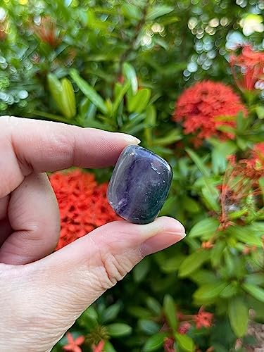 Image of GAF TREASURES 1 /2 LB Rainbow Fluorite Tumbled Stones, Polished Natural Rainbow Fluorite Gemstone, Rainbow Fluorite Healing Crystals (Rainbow Fluorite)