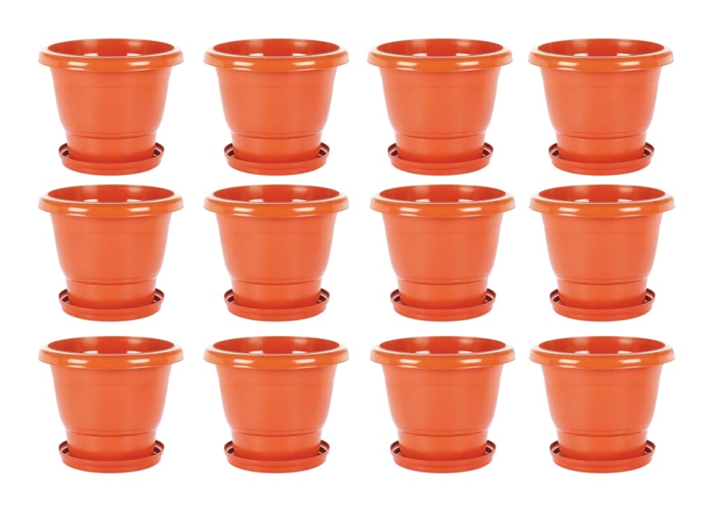 God of Goods Heavy Duty Plastic Future Green Pot for Flowers Plants for Home | Gardens Planter with Bottom Plate | Gamla for Plants | Flower pots | pots & planters (10 Inches, Pack of 12) (B09M8CN961) Amazon Price History, Amazon Price Tracker