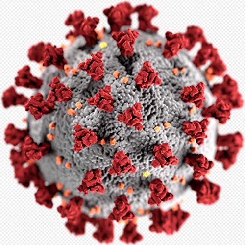 Corona Months Not Weeks; The Work of the Pharmacist