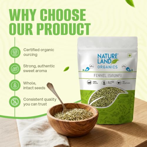 Image of Natureland Organics Fennel (Saunf) 100 gm - Organic Saunf