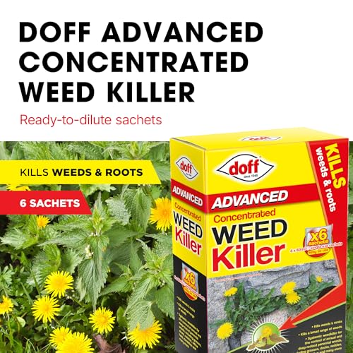 Doff Advanced Concentrated Weedkiller - 6 Sachets For Dilution In Water For Garden Protection – Kills Deep Rooted Weeds From Pathways To Driveways - Long Lasting Weed Control – Strong Weed Killer - 2