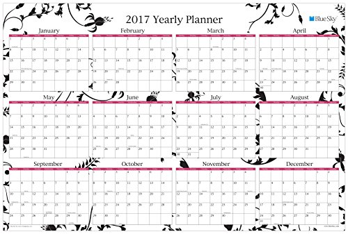 Blue Sky 2017 Laminated Erasable Yearly Wall Calendar, 36