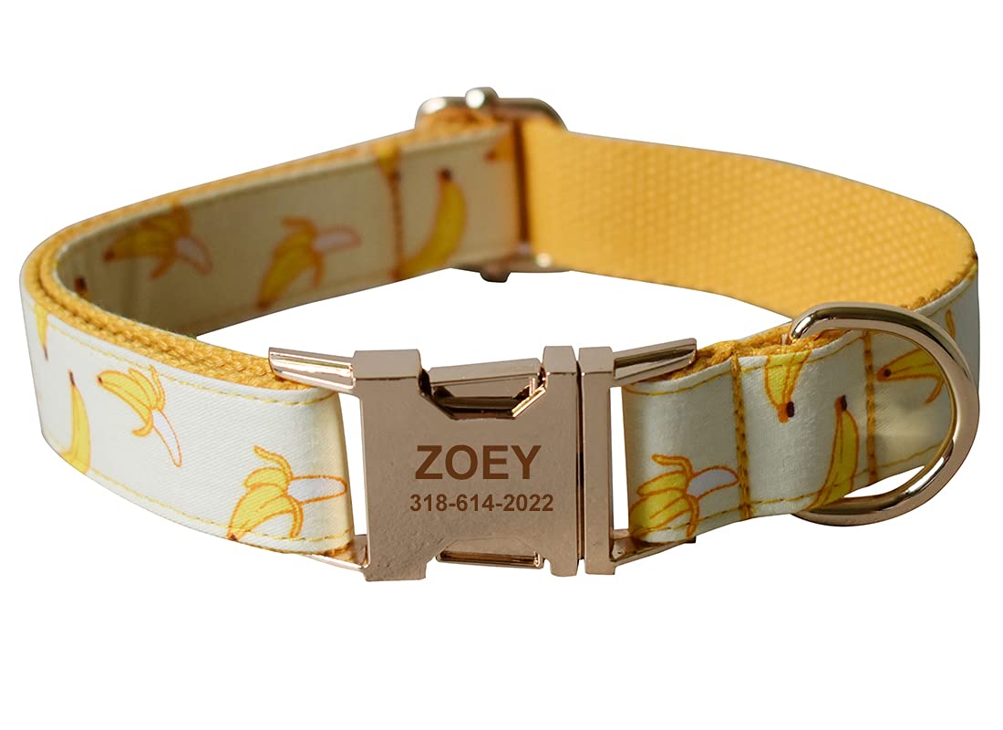 Custom Dog Collar with Names and Phone Number Engraved, Puppy Tags Personalized for Small Medium Large Pets