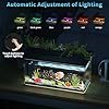 ERAARK 3.7 Gallon Betta Fish Tank self Cleaning,Smart Aquarium Aquarium kit with Filter Light Water Pump
