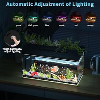 ERAARK 3.7 Gallon Betta Fish Tank self Cleaning,Smart Aquarium Aquarium kit with Filter Light Water Pump