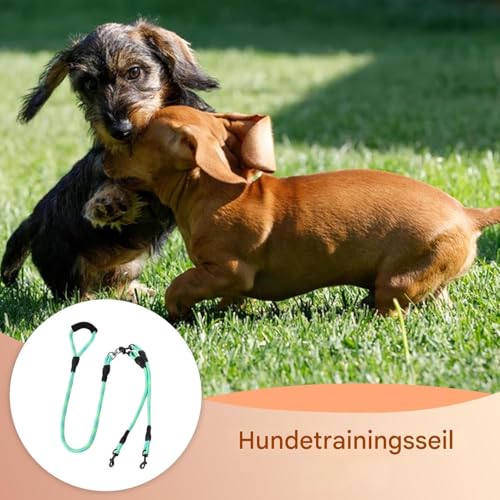 Senermter Doppelter Hundegurt | Doppelleine für Zwei Hunde,Tier Sicherheitsausrüstung Ergonomischer Griff 360 Grad Drehfunktion für Kleine Mittelgroße Große Hunderassen Wanderungen Camping