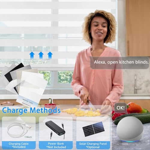 Image of Motorized Zebra Blinds Custom Size Smart Dual Layer Shades for Windows with Remote | Assembled in USA | Electric Day and Night Privacy Light Filtering Rechargeable Quiet Motor Window Shades