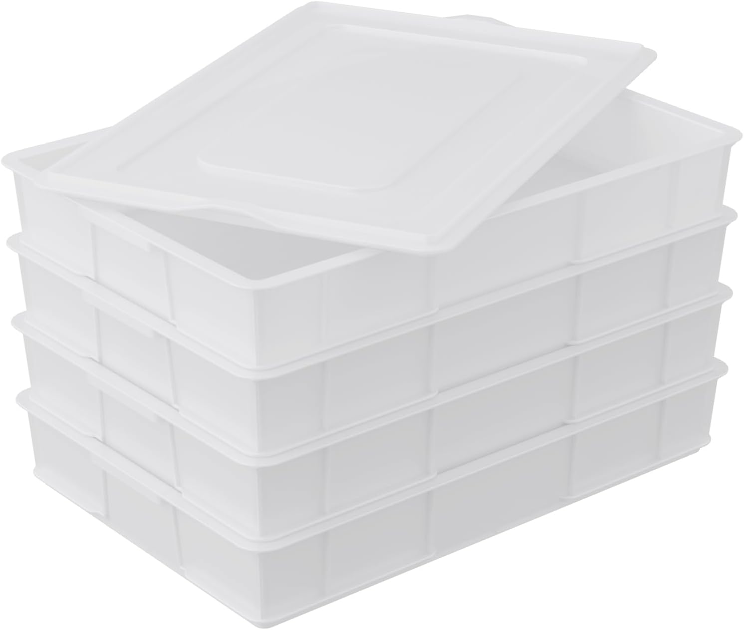 L'Oro Del Sud 2 Pack, Dough Proofing Box, 23.6 Inch X 15.74