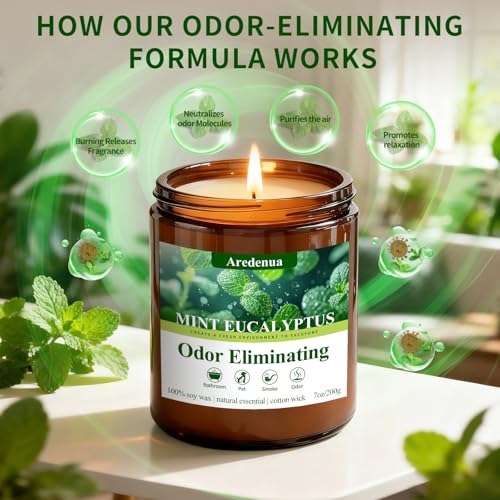 Image of Mint Eucalyptus Odor Eliminating Candles | Eliminates 95% of Pet, Smoke, Food, and Other Smells Quickly - 7 oz Soy Candle for Home Scented - Air Freshing Scented Candles Gifts for Women Men