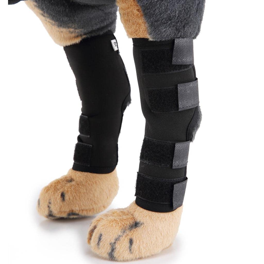 THE STYLE SUTRA Neoprene Pets Dog Foot Protective Pet Knee Pads Dog Joint Wrap Brace Black M | 1 Piece Pet Knee Pads, (B0C1P4ZFKP) Amazon Price History, Amazon Price Tracker