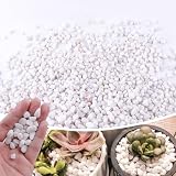 2.4lb 1/4' Small White Rocks for Plants,Potting,Succulents Aquarium Fish Tank Garden Vases Decorative Pebbles Gravel Rocks Stones