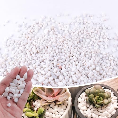 Image of 2.4lb 1 /4 inch Small White Rocks for Plants,Potting,Succulents Aquarium Fish Tank Garden Vases Decorative Pebbles Gravel Rocks Stones