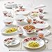 Borosil Gourmet Dinnerware Set For 6, 35 Pieces, White Dinner Plates and Bowls, Chip Resistant Tempered Opal Glass, Stain Resistant, Dishwasher & Microwave Safe Dinner Set For Gifting, Serves 6