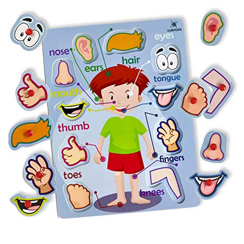 Wooden Peg Puzzle, My Body - Outside - Learning Educational Pegged Puzzle for Toddler & Kids (10 pcs) Gleeporte - Thumbnail 2