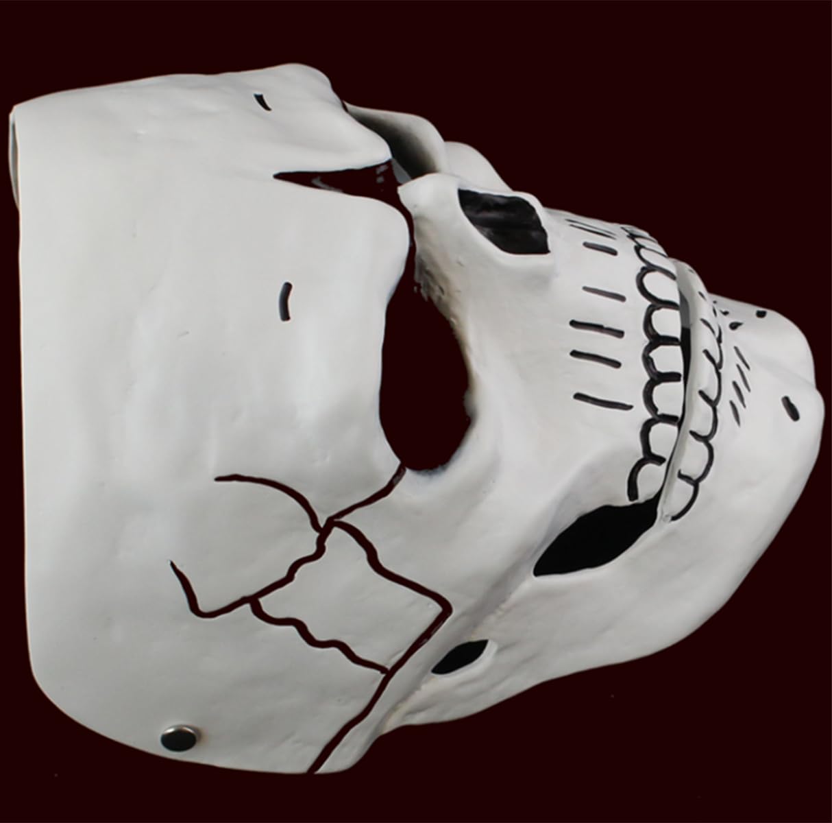 Amazon.com: Gmasking Resin Horror Ghost Skull Bone Skeleton