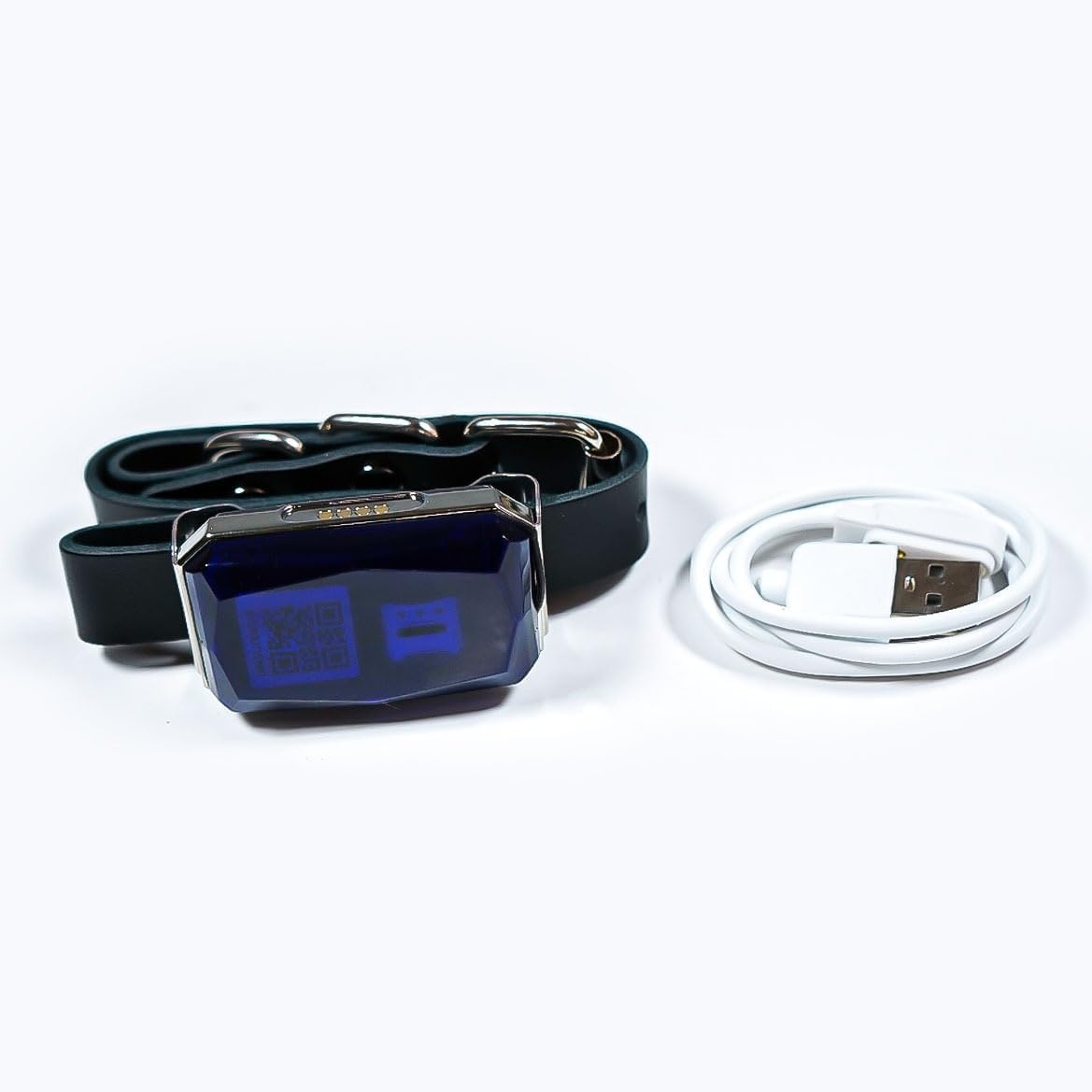 Mini GPS Tracker para perros y gatos G12P – Impermeable para todos los animales domésticos – Sistema de localización con alarmas y micrófono para escuchar a distancia