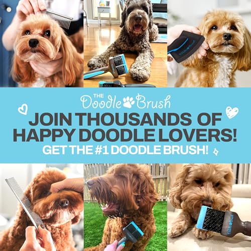 The Doodle Brush - Hundekamm, Haustier Kamm für Goldendoodles, Labradoodles & Hunde mit mittlerem & langem Haar, hundekamm pudel, Metallkamm, metallkamm hund, hundekamm langhaar, Metall Fellpflegekamm