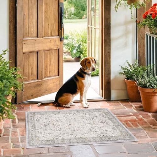 Image of Washable 2x3 Throw Rugs for Entryway, Front Door Mat, Low Pile Non-Slip Small Area Rugs for Kitchen, Bathroom, Powder Room, Mudroom, Neutral Light Gray & Sage with Floral Accent