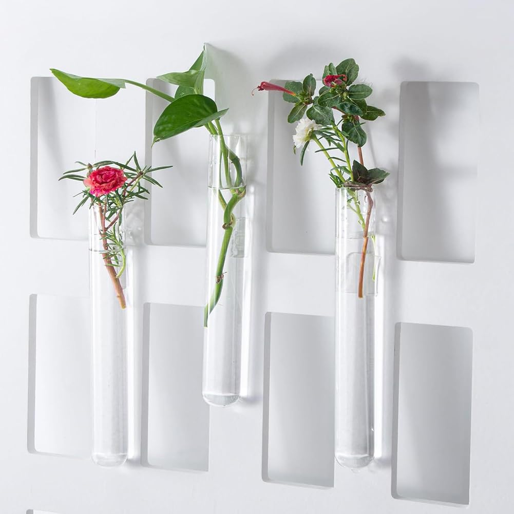 Glas für Reagenzglas-Set 24 Stück 80 Ml Glas für Reagenzgläser mit Korkstopfen und 24 Löcher Kunststoffröhrenhalter für Testlabor