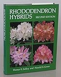 RHODODENDRON HYBRIDS