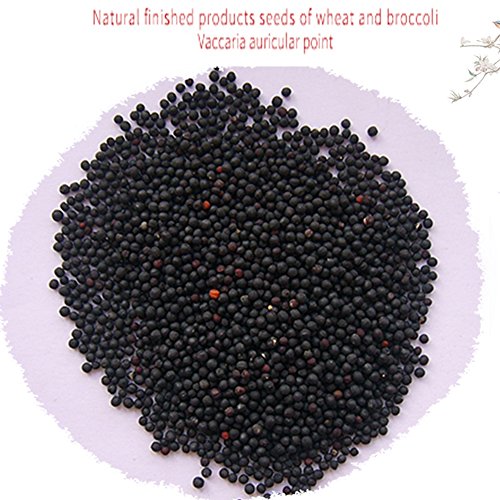 Wecando 600 Counts Acupuncture Vaccaria Needle Ear Seeds Massage Paste Ear Stickers Auricular Ear Press Seed #TOP3