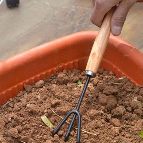 V&AMYA Set 3 Pezzi Utensili da Giardino - Attrezzi per Giardino - Set Giardinaggio 3 Accessori - 2 Rastrelli e 1 Paletta