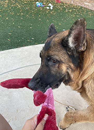 Jalousie 5 Pack Stuffingless Dog Squeaky Toys Dog Toy Dog W/ Durable Liner No Stuffing Dog Toy - Dog Toys For Pets Dogs No Stuffing Dog Squeaker Toy For Medium Large Dogs #TOP5