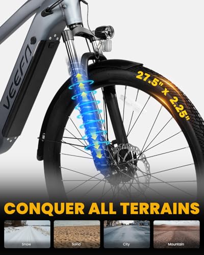 VEEFA Electric Bike for Adults 500W Peak 1000W Motor Ebike