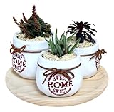 1 x Vaso in ceramica con diametro: 10 cm altezza: 8,5 cm