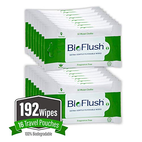 10 BEST Flushable Wipes For Septic System Reviews 2019 Diaper News