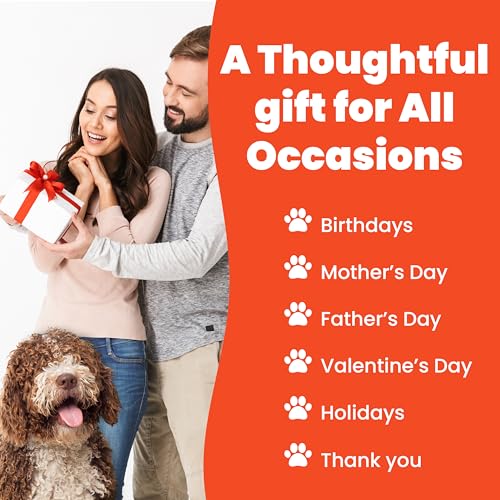 Image of Funny Dog Lover Gift Pen Set - 5 Black Ink Ballpoint Pens with Stylus Tip & Quality Metal Barrel with Doggy-Themed Quotes - Cool Dog Lover Gift for Women, Friends, Vet Tech, Pet Owner, Coworker