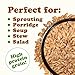 Food to Live Organic Einkorn Wheat Berries, 12 Ounces – Non-GMO, Good Source of Protein, Fiber, and Vitamins, Low-glycemic Index, USDA Certified, Glyphosate Free, Vegan, Raw, Kosher, Bulk