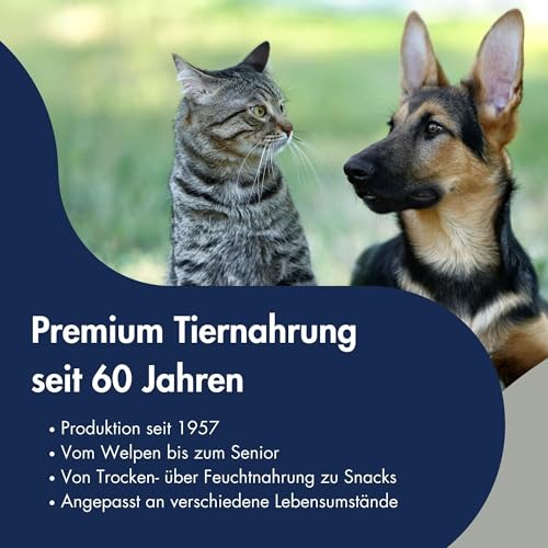 DR.CLAUDER'S - B.A.R.F. Komplett Menue Lammragout | Fleischeintopf mit 100% Lammfleisch, Innereien und Gemüse für ausgewachsene Hunde. Alleinfutter in der Dose | 6X 400g Lamm