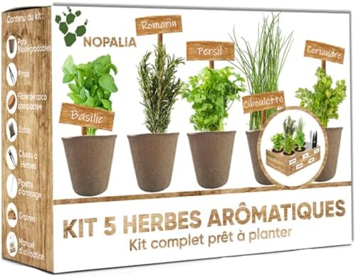 NOPALIA® Herb Kit – Basil, Coriander, Parsley, Rosemary, Chives – Biodegradable Pots, Scissors and Accessories – Gardening and Kitchen Gift – Indoor Urban Garden NOPALIA® Herb Kit – Basil, Coriander, Parsley, Rosemary, Chives – Biodegradable Pots, Scissors and Accessories – Gardening and Kitchen Gift – Indoor Urban Garden