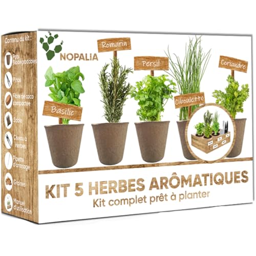 NOPALIA® Kit Herbes Aromatiques Bio Prêt à Pousser - 5 Variétés (Basilic, Persil, Ciboulette, Coriandre, Romarin) Pots Biodégradables, Terre & Ebook Recettes - Cadeau Cuisine Noël