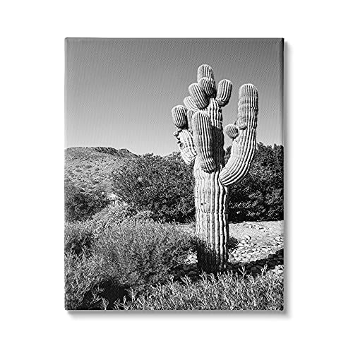 Image of Stupell Industries Thick Desert Cactus Black White Photography Canyon Landscape