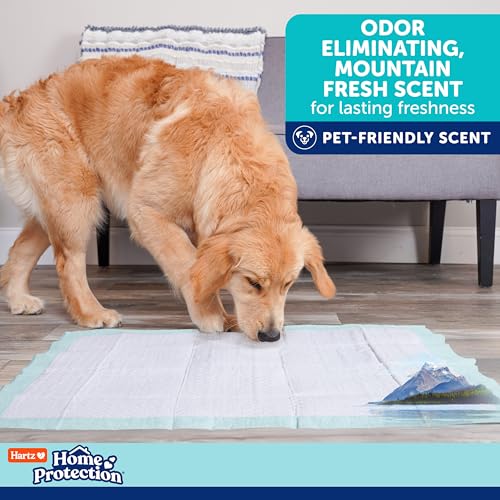Image of Hartz Home Protection Super Absorbent Odor Eliminating Mountain Fresh Scented No Leak Dog Pads, XXL 20 Count
