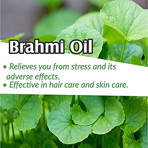 Image of B-URBAN Brahmi (Bacopa Monnieri) Oil|100% Pure & Natural Undiluted Essential Oil Organic Standard For Skin & Hair Care|Therapeutic Grade Oil, Conditions Dry Scalp And Hair, Improves Skin - 30ML
