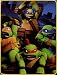 Nickelodeon Teenage Mutant Ninja Turtles Super Plush Throw, Cowabunga