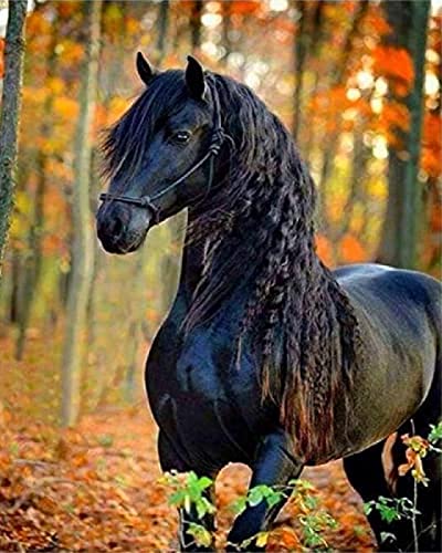 Eiialerm Kits de point de croix pour adultes Cheval noir animal DIY de broderie estampillés pour...