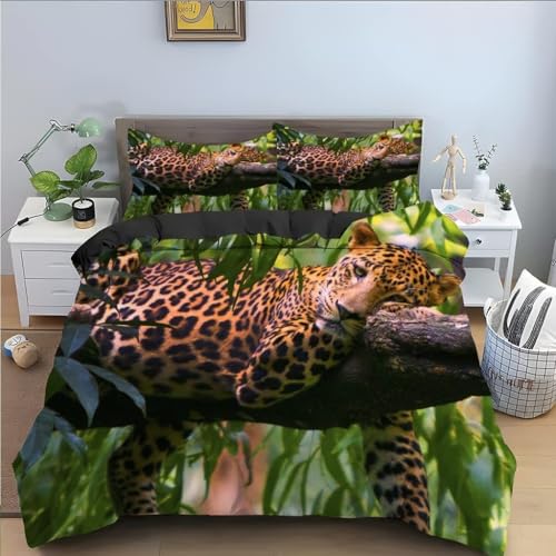 LMMSMGS Funda Nordica Cama 180 Búho Infantil Juvenil Funda Edredón Cama 180 para Niñas con Cremallera Suave Microfibra Fundas Nordicas 240x260 cm + 2 Fundas de Almohada 50x75 cm