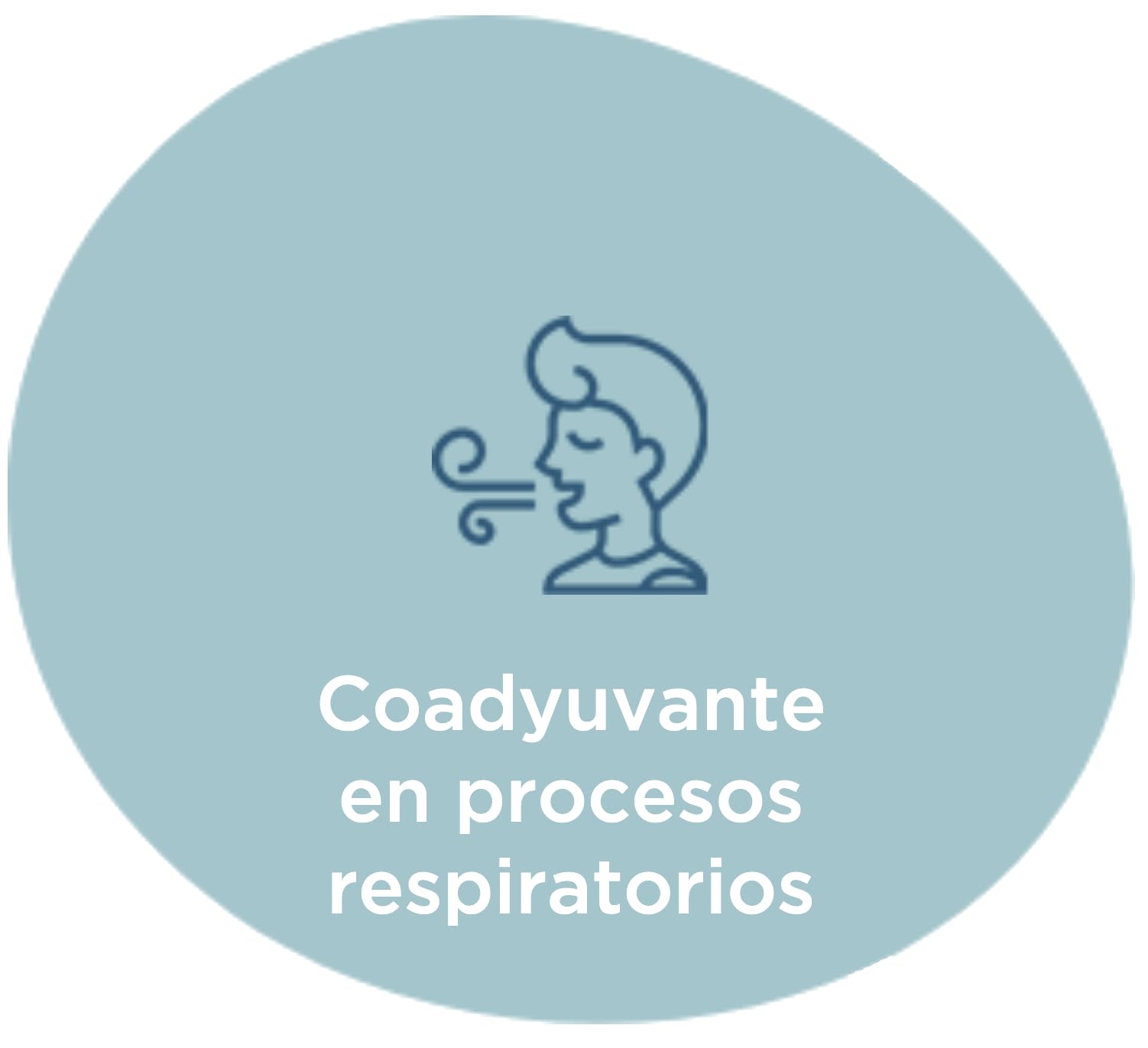 Microdifusión Fisiológica de Agua de Mar 100% natural enriquecida en manganeso. Sterimar Alergia, frasco 100ml. Pack x2 | Spray nasal agua de mar para alergia, rinitis alérgica, congestión nasal, limpieza nasal diaria apto bebés niños adultos