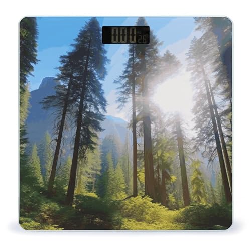 Báscula digital de baño JTREHY con pantalla LCD