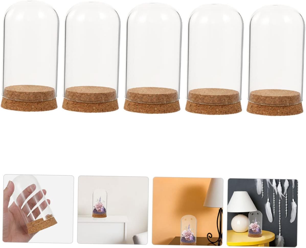 5pcs Glass Cover with Cork for Preserved Flowers Decorative Dome Adornment Transparent Display Jars for Home Decor for Showcasing Keepsakes and Crafts
