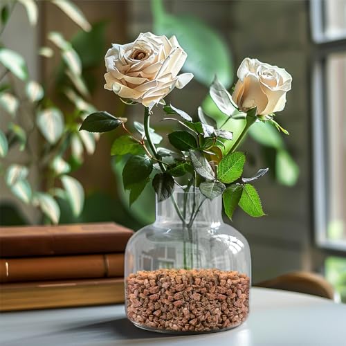 Image of 0.88 LB Brown Decorative Succulent Cactus Gravel,Terrarium Small Rocks | Indoor Plants Orchid Soil Cover Stones,Candle Holder Vase Filler Decor Pebbles,2-5mm
