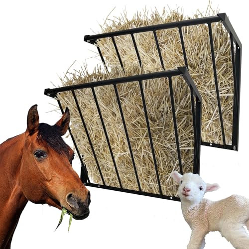 31.5'' Carbon Steel Hay Feeder