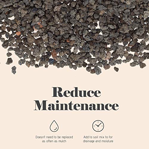 Bonsai Jack - Black 1/4 Inch Horticultural Lava Rock Soil Additive For Cacti, Succulents And Plants - No Dyes Or Chemicals - 100% Pure Volcanic Rock (2 Dry Quarts) #TOP4